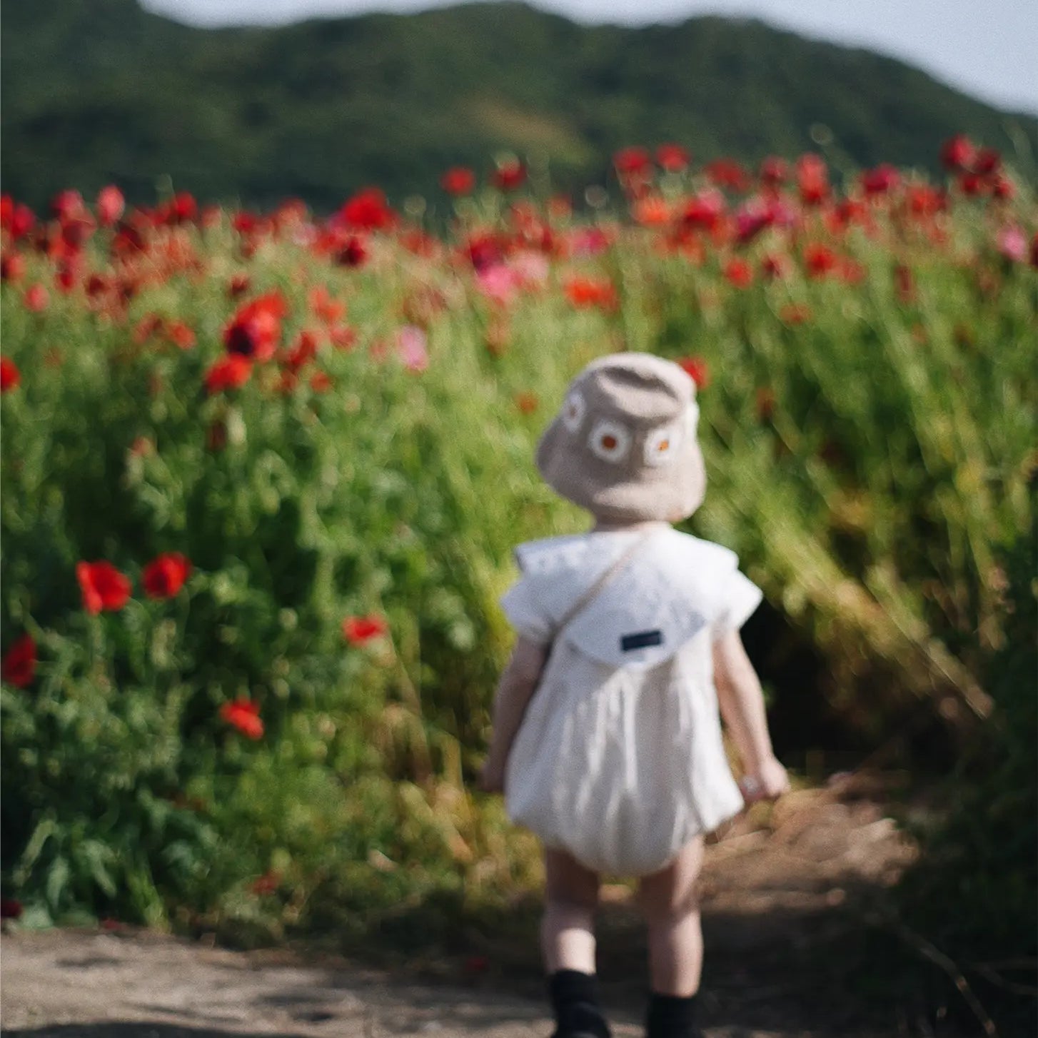 Dziecko od tyłu w beżowym kapeluszu Daisy Sand Dune idące przez kwitnące pole maków | Toddler from behind wearing Sand Dune Daisy crochet hat walking through blooming poppy field